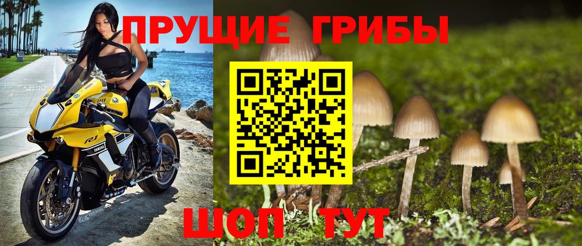 Галлюциногенные грибы Psilocybine cubensis  где можно купить   Соль-Илецк  Вход с VPN 