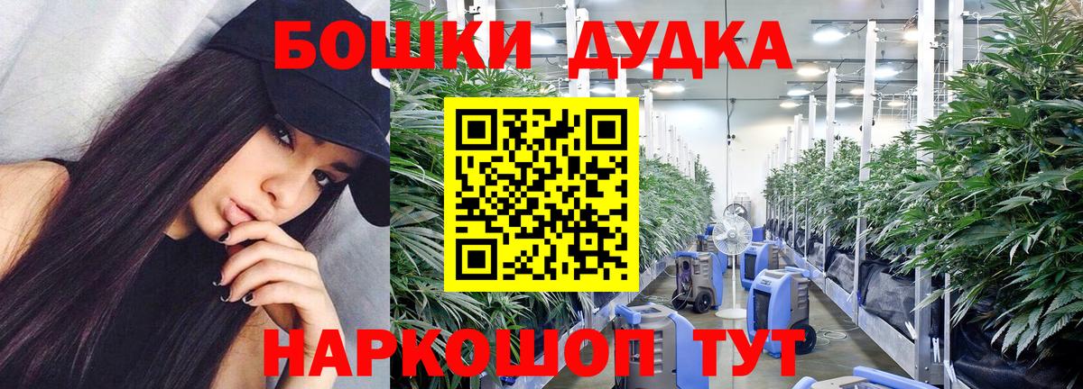 Бошки Шишки SATIVA & INDICA  Вход с VPN  Бошки марихуана гибрид  Канабис планчик  Соль-Илецк 